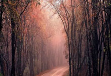 北京女排引发争议,阻止球员留洋被曝光.