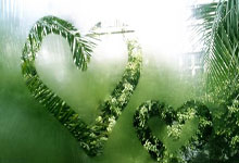 纬来体育:两年两冠!袁悦组合获WTA250奥斯汀站女双冠军央视新闻客户端.