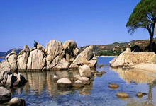 纬来体育：[国足]中国男足公布新一期集训名单.